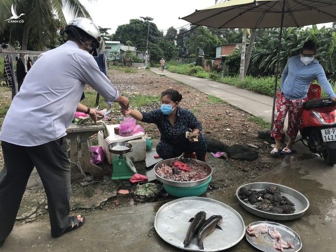 Người dân một hẻm ở Bình Tân vô tư họp chợ giữa tâm dịch