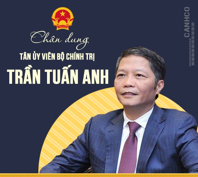 Chân dung tân Ủy viên Bộ Chính trị Trần Tuấn Anh