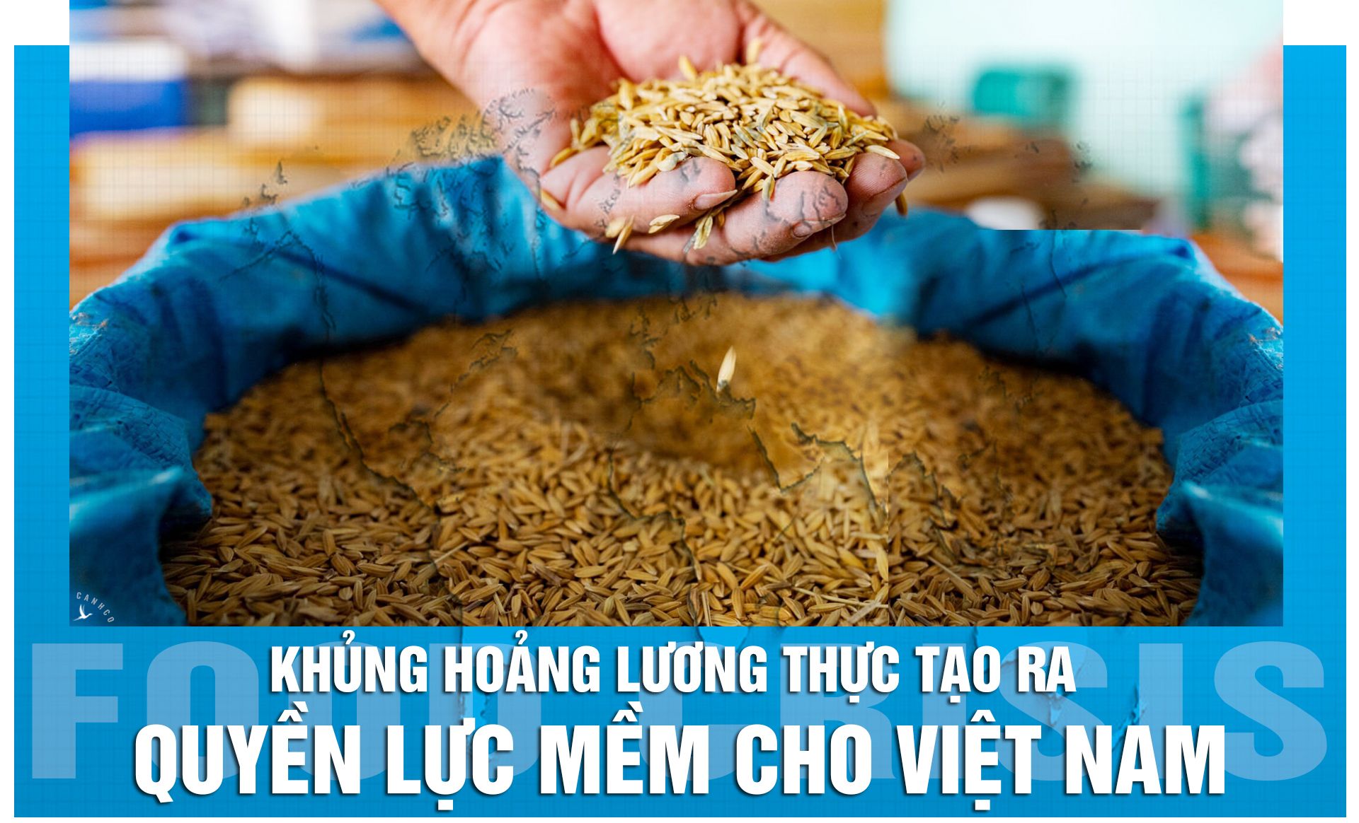 Khủng hoảng lương thực tạo ra quyền lực mềm cho Việt Nam