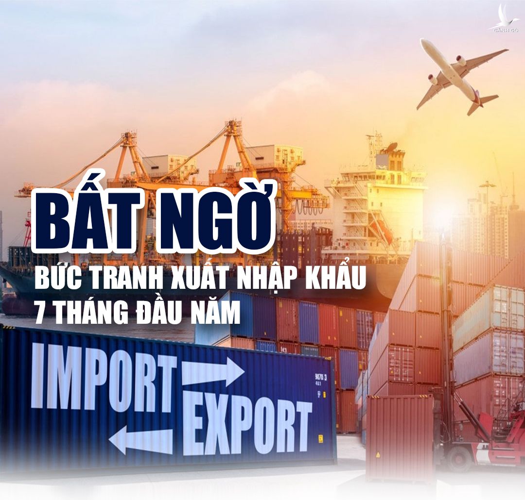 Bất ngờ bức tranh xuất nhập khẩu 7 tháng đầu năm