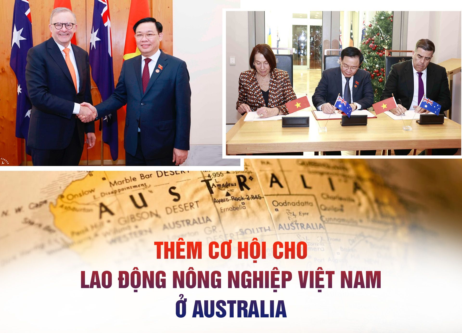 Thêm cơ hội cho lao động nông nghiệp Việt Nam ở Australia