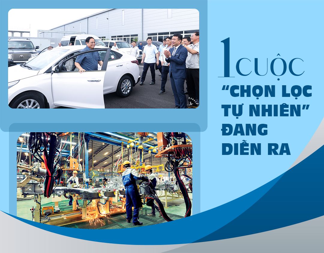 Một cuộc “chọn lọc tự nhiên” đang diễn ra