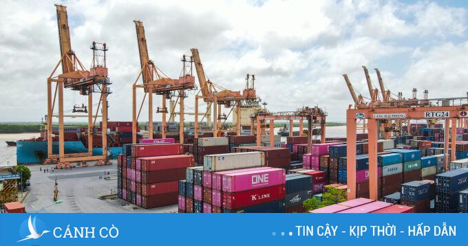 14 hải quan sắp ra tòa trong vụ thông quan 13.000 container hàng lậu