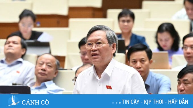 Hàng trăm tấn thuốc giả, thực phẩm giả bán tràn lan, lỗ hổng ở đâu?