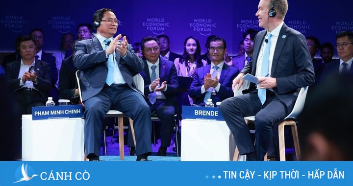 Giữa thời đại của AI, chúng tôi chọn sống bằng… EQ