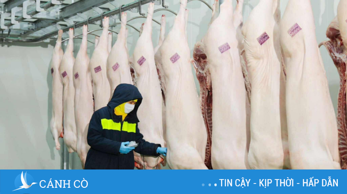 C.P. Việt Nam công bố kết quả giải quyết của công an liên quan tố cáo thịt heo