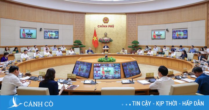 Chủ động ứng phó thuế quan – phản xạ chiến lược trong thời điểm sinh tử