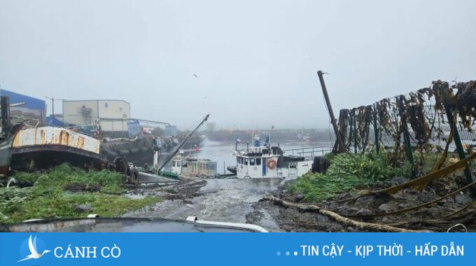 Sóng thần ập vào Thái Bình Dương: Nhật Bản, Mỹ và Nga trong tình trạng báo động đỏ