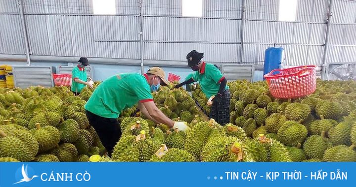 Việt Nam không cần xin ưu đãi, mà cần tạo chuẩn mực