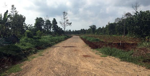 Đất nông nghiệp bị xẻ làm đường để phân lô ở xã Sông Xoài, thị xã Phú Mỹ - Ảnh: ĐÔNG HÀ