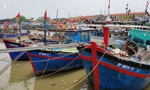 Hàng trăm tàu, thuyền về neo đậu tránh trú bão tại bến cảng cá Ngọc Hải (Đồ Sơn). 