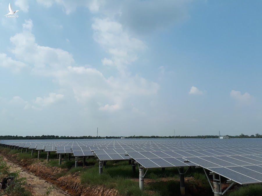 Có tới gần 90 nhà máy điện mặt trời hòa lưới để hưởng giá ưu đãi.  