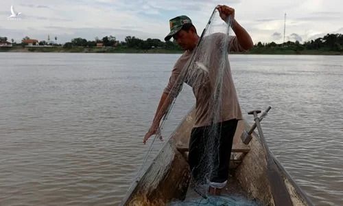 Ngư dân đánh cá trên sông Mekong ở Nakhon Phanom, Thái Lan ngày 24/7. Ảnh: Reuters. 