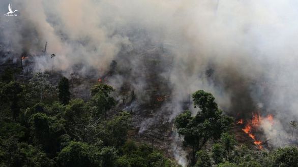 Phần lớn các vụ cháy rừng ở Brazil có nguyên nhân từ con người - Ảnh: REUTERS 