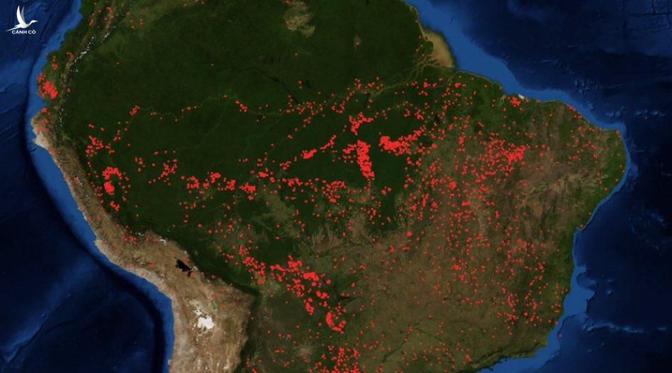 Cháy rừng Amazon nhìn thấy từ không gian