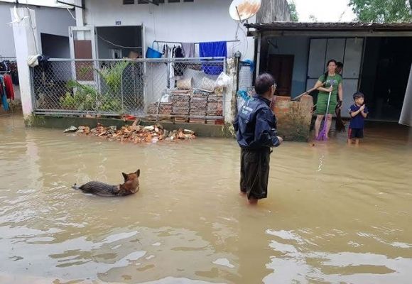 Cận cảnh cuộc sống bị đảo lộn do ngập lụt lịch sử ở Phú Quốc  - ảnh 6