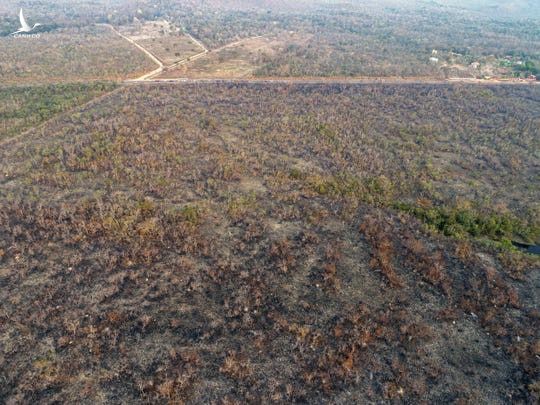 Những gì còn sót lại sau vụ cháy rừng ở Mato Grosso, Brazil - Ảnh: REUTERS 