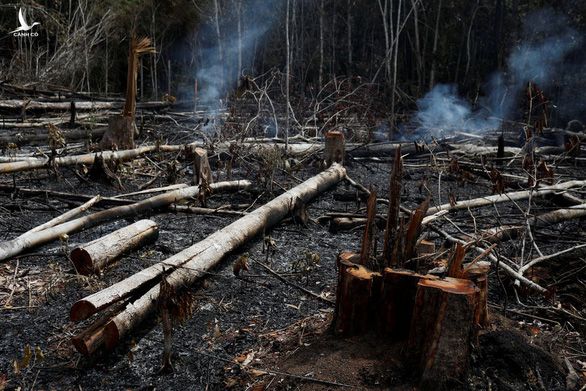 Nông dân đốt rừng ở Novo Airo, Brazil - Ảnh: REUTERS 