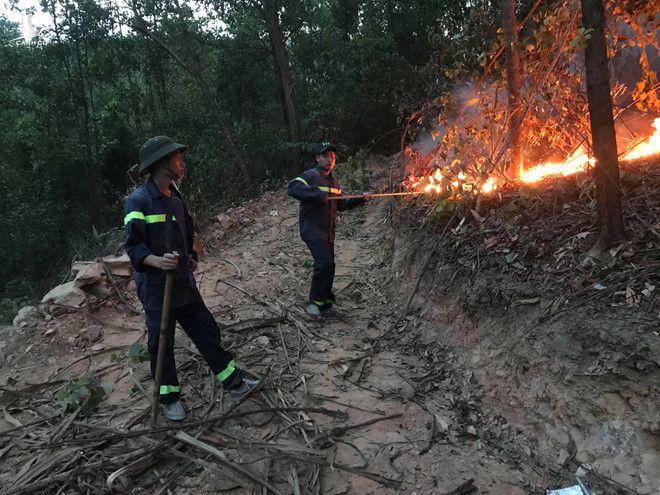 Cháy lớn ở rừng đầu nguồn phía tây TP.Đà Nẵng, hơn 200 người nỗ lực dập lửa 