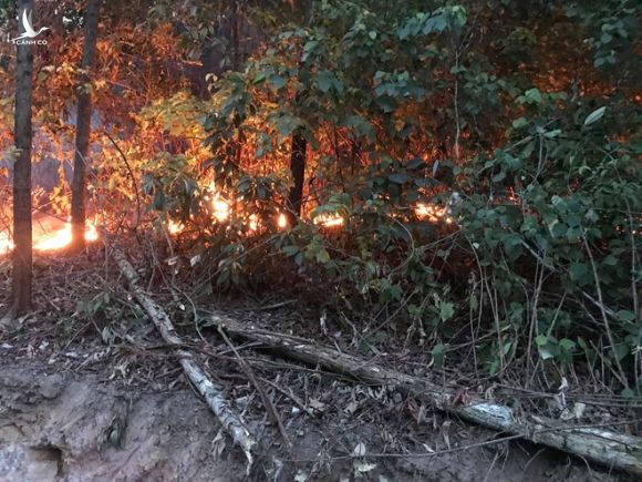 Cháy rừng đầu nguồn ở TP.Đà Nẵng, hơn 200 người dập lửa nhiều giờ - ảnh 1