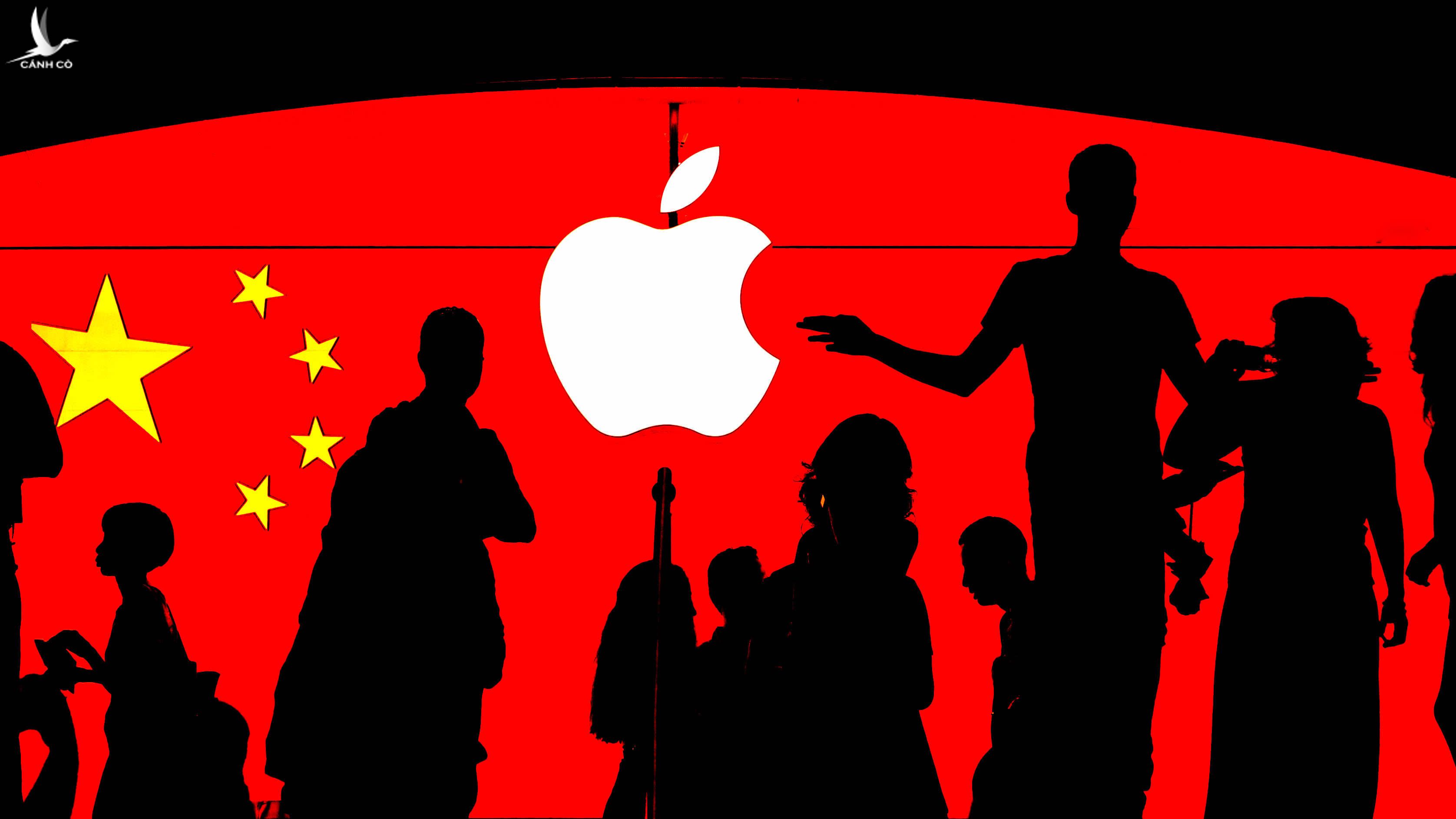 Apple đang nhanh chóng mất chỗ đứng ở thị trường Trung Quốc. 