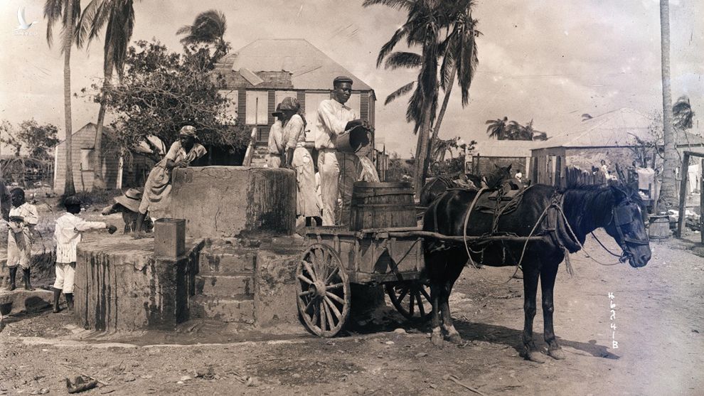  Cư dân trên đảo St Croix (thuộc quần đảo Virgin ngày nay) năm 1916. (Ảnh: Getty). 