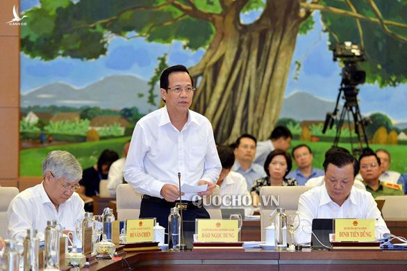 Bộ trưởng Bộ Lao động - thương binh và xã hội Đào Ngọc Dung - Ảnh: Quochoi.vn 