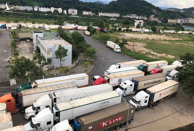 Hơn 500 xe container chở thanh long ùn ứ tại cửa khẩu khi làm thủ tục xuất hàng đi Trung Quốc