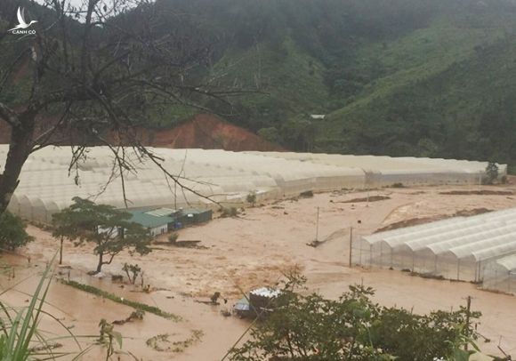 Giải cứu thành công 41 người bị kẹt trong mưa lũ ở Lâm Đồng - ảnh 1