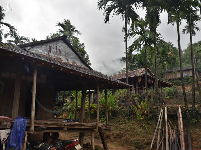 hinh-2-1564469244602