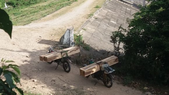 Những chiếc xe máy độ chế công khai chở gỗ từ rừng ra /// Ảnh: Nam Phong