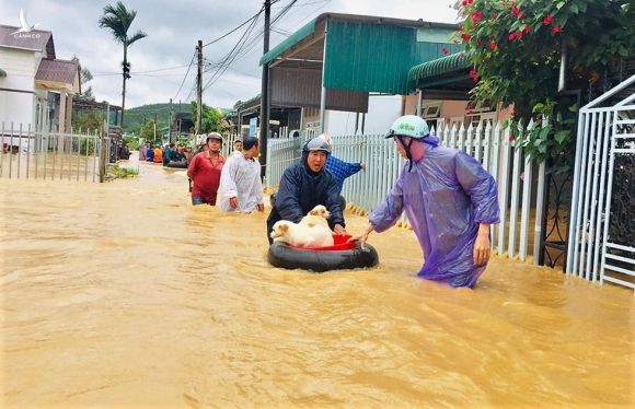 Lũ kinh hoàng, Bảo Lộc sơ tán khẩn cấp hàng trăm hộ dân - ảnh 13