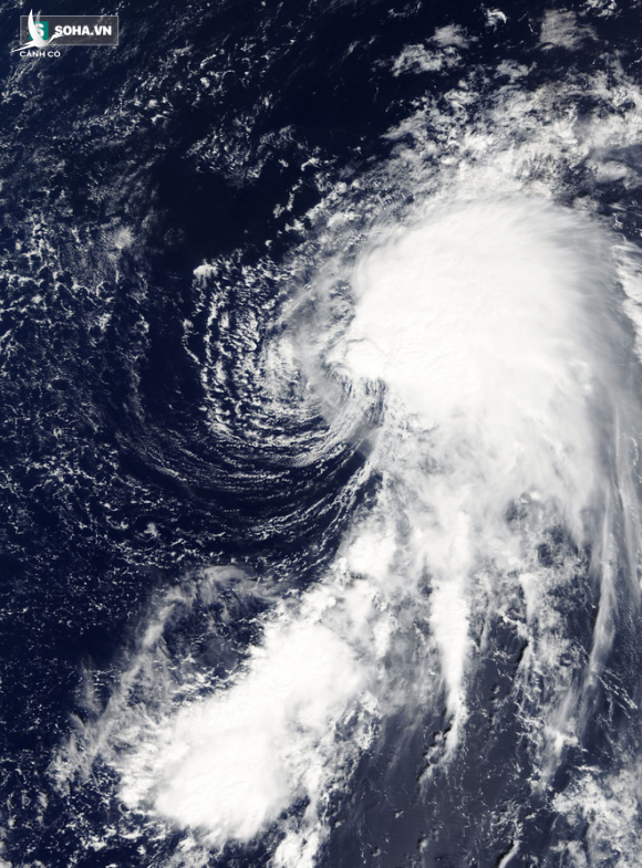 Biển Đông liên tiếp xuất hiện bão mạnh, dự báo bão số 5 đổ bộ nước ta, khu vực nào ảnh hưởng nặng nhất? - Ảnh 2.