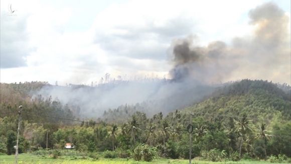 Cháy 50 ha rừng ở Phú Yên, hàng trăm cán bộ, chiến sĩ tham gia chữa cháy - ảnh 1