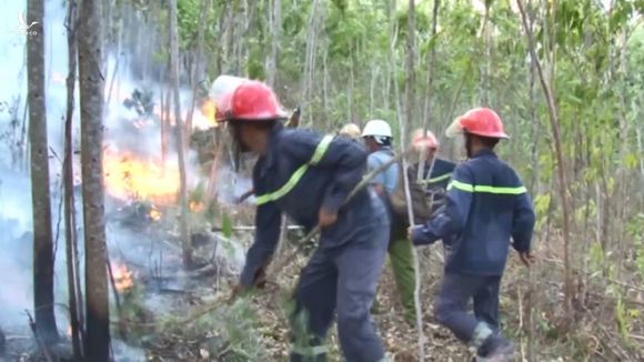 Cháy 50 ha rừng ở Phú Yên, hàng trăm cán bộ, chiến sĩ tham gia chữa cháy - ảnh 2