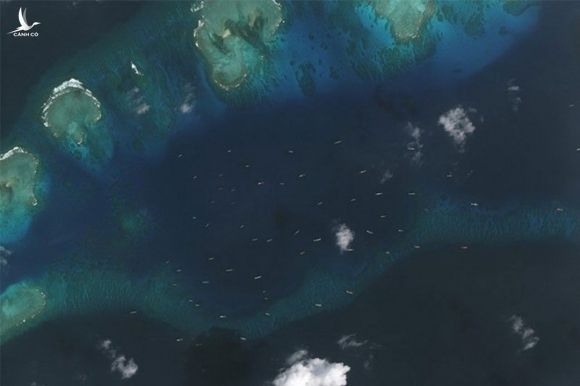 Tàu cá Trung Quốc ở khu vực đảo Thị Tứ /// CSIS/Digital Globe