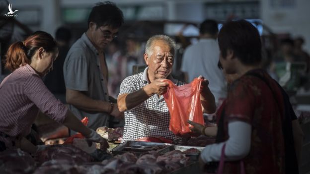 Dịch tả heo làm khan hiếm thịt heo ở Trung Quốc 
