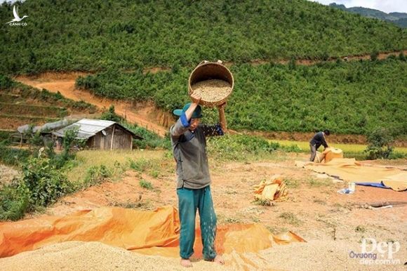 Chiem nguong phong canh tuyet dep xu Mu Cang Chai khi mua Thu toi hinh anh 19