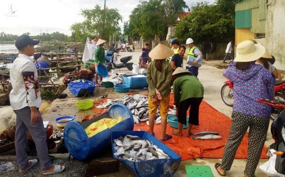 Xuất hiện thêm hàng tấn cá chết nổi trắng sông ở Hà Tĩnh