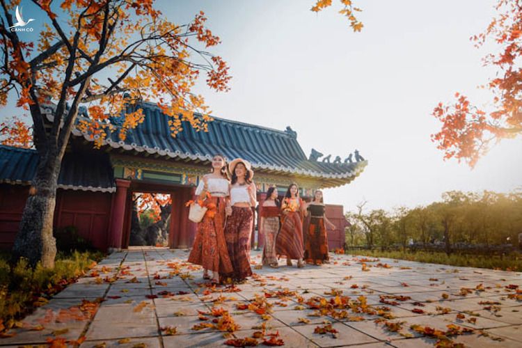 Ngoài hàng cây lá phong rực rỡ, nơi đây còn có phối cảnh mô hình ngôi nhà cổ bằng xốp và vải mang phong cách Hàn Quốc, làm cho không gian càng thêm nổi bật. 