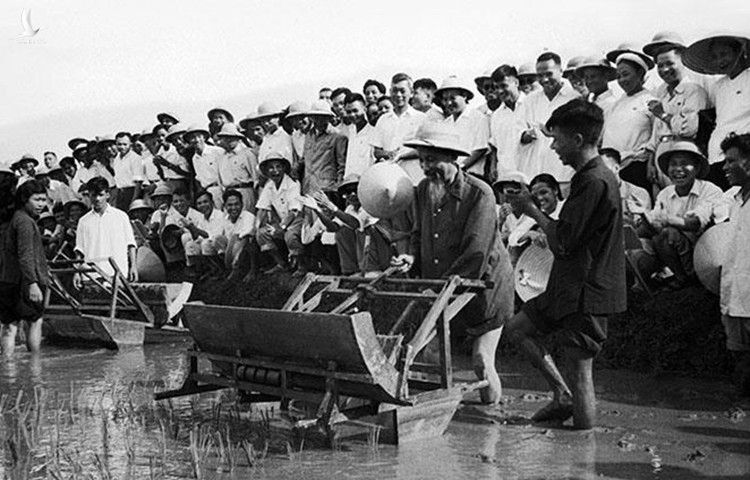 Chủ tịch Hồ Chí Minh đến thăm Sở Nông Lâm Hà Nội và sử dụng thử chiếc máy cấy tại ruộng thí nghiệm của Sở (7/1960). 