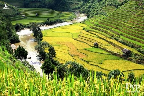 Chiem nguong phong canh tuyet dep xu Mu Cang Chai khi mua Thu toi hinh anh 8