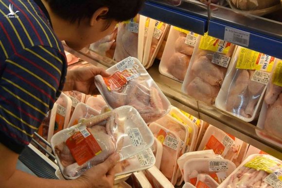 Vi sao ga My va Brazil ve Viet Nam gia chua den 20.000 dong/kg? hinh anh 1