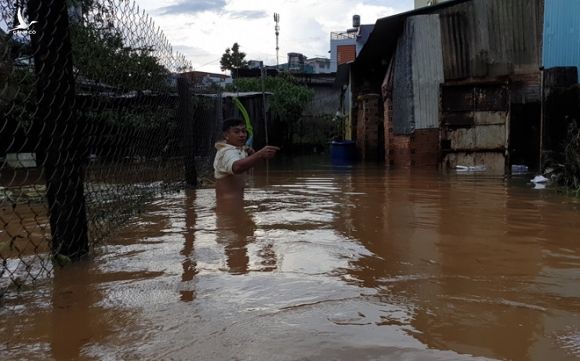 TP.Bảo Lộc lại chìm trong nước sau trận mưa lớn - ảnh 5