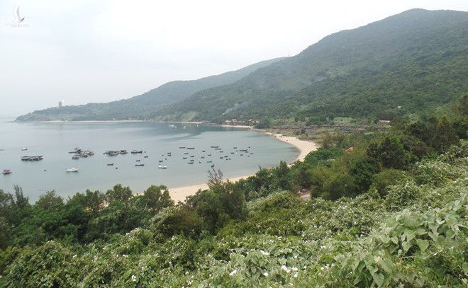 UBND TP.Đà Nẵng đã cắt gảm 1.279,9 ha để đưa diện tích rừng đặc dụng vào các dự án là vi phạm quy định của Chính phủ 
