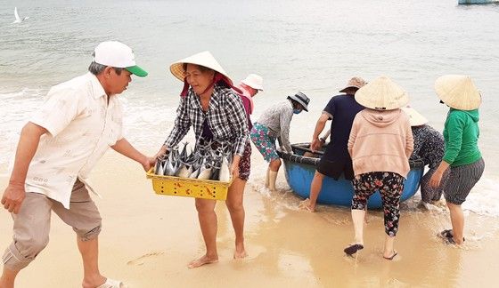 Biển gần bờ xuất hiện nhiều đàn cá, ngư dân Bình Định trúng lớn ảnh 5