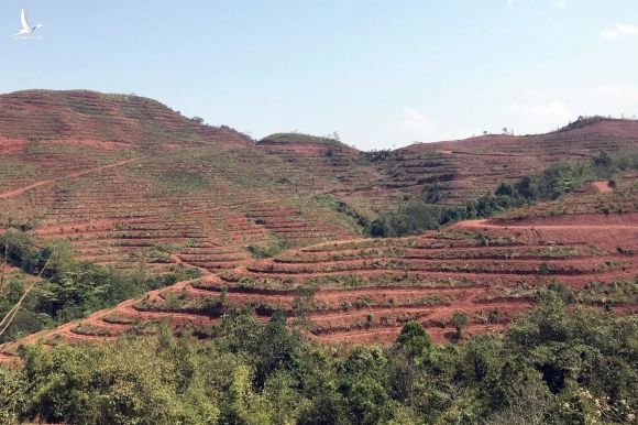 'Tôi có phải người Việt Nam không' và trăn trở của Bí thư Mường Nhé