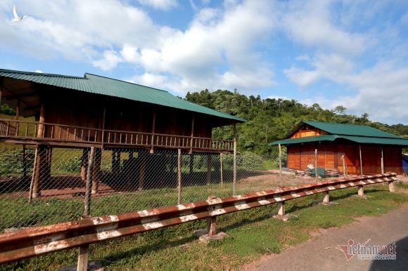 'Tôi có phải người Việt Nam không' và trăn trở của Bí thư Mường Nhé