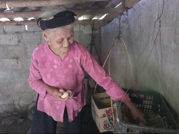Chủ tịch tỉnh Thanh Hóa tặng bằng khen cụ bà xin thoát nghèo - ảnh 2