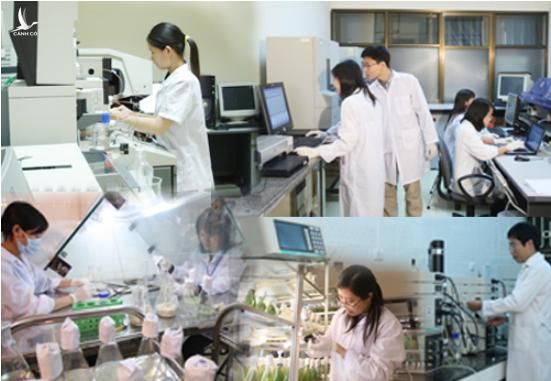 Việt Nam tăng trưởng nhanh nhất khu vực Nam và Đông Nam Á về công bố khoa học